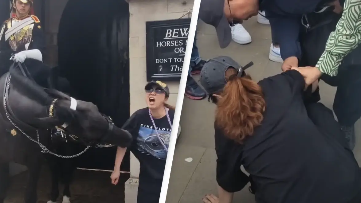 Tourist collapses after being bitten by King’s Guard horse while taking photo