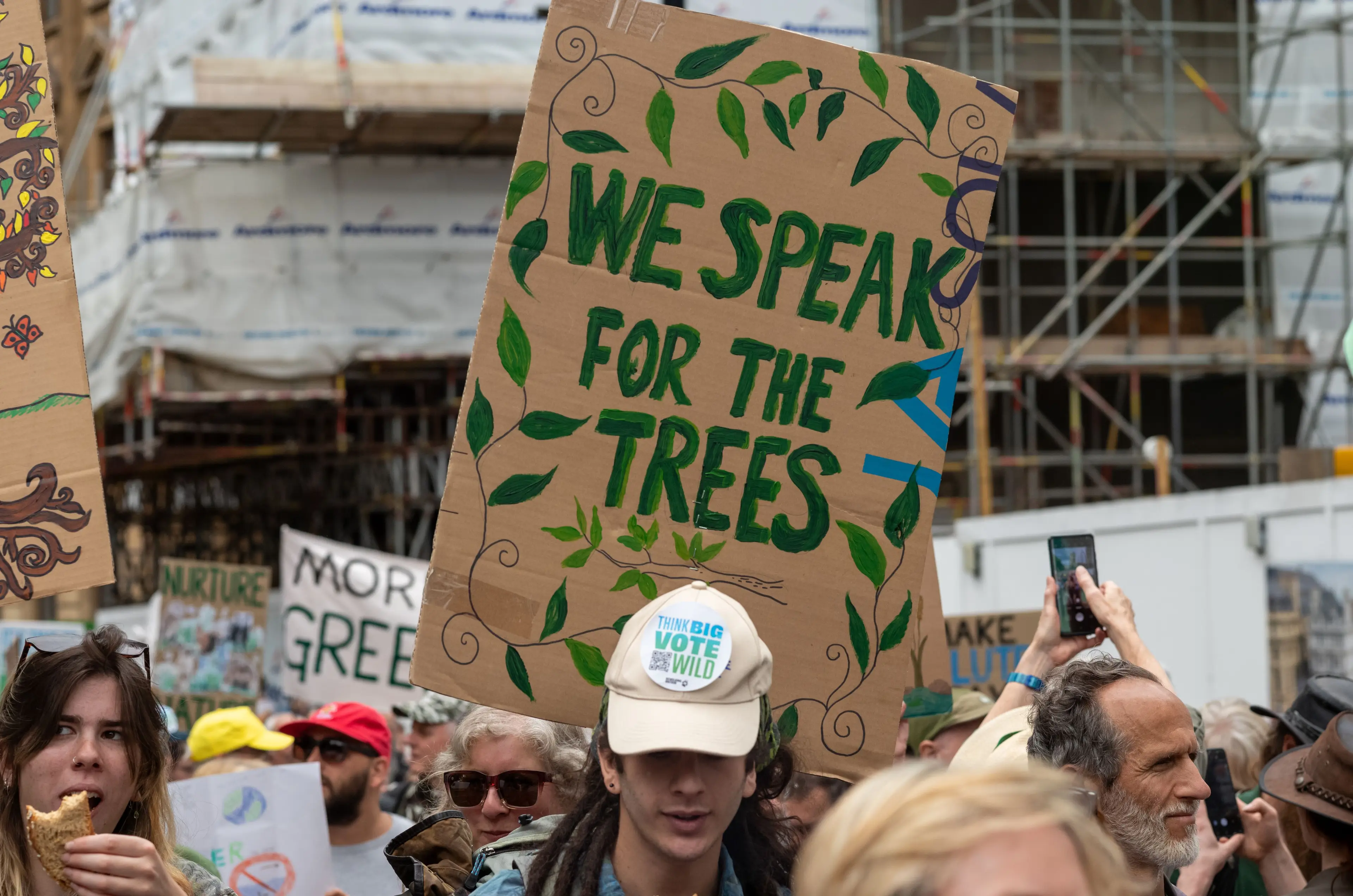 Scientists have warned we cannot rely on natural carbon sinks (Andy Soloman/UCG/Universal Images Group via Getty Images)