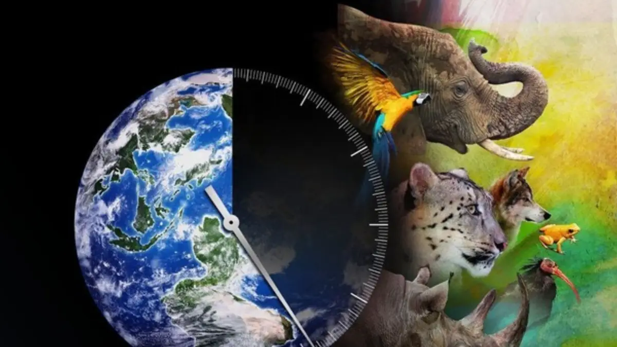 Oceanic Preservation Society