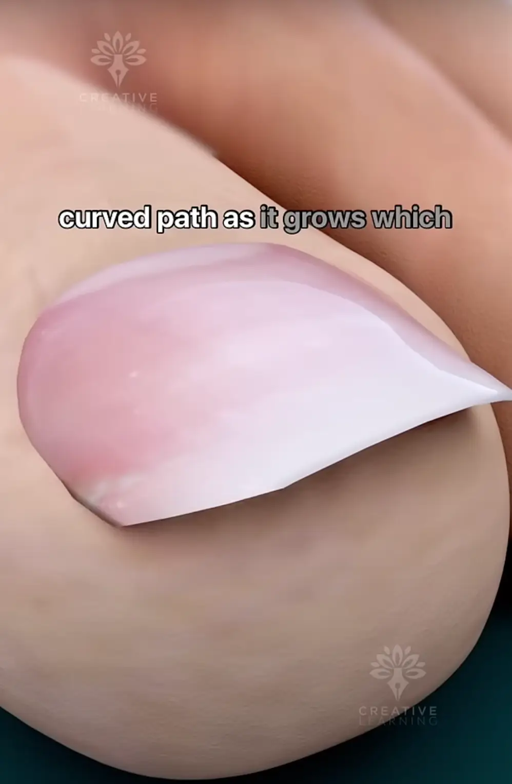 You've been cutting your toenails wrong all these years (YouTube/Creative Learning)