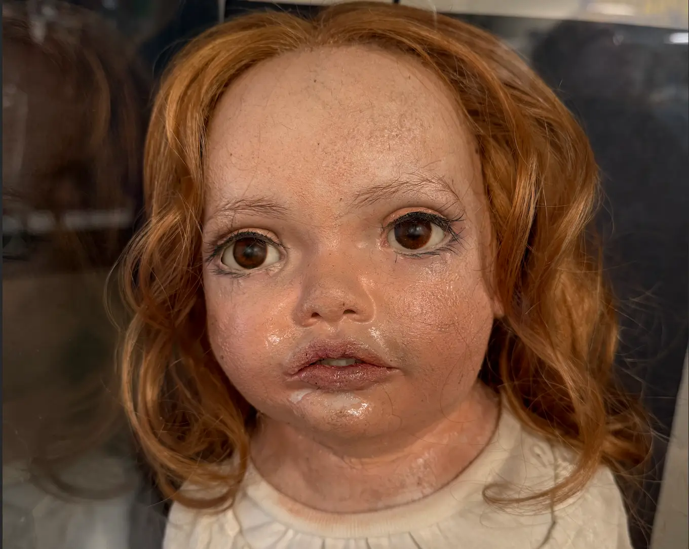Chuckesmee has become a celebrity in her own right at the Fork Museum (Forks Collection)