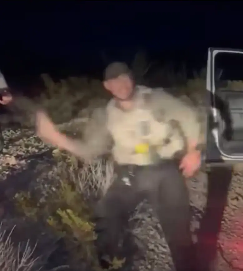 Gomez was seen flinging the baby rabbit at the car (Facebook)