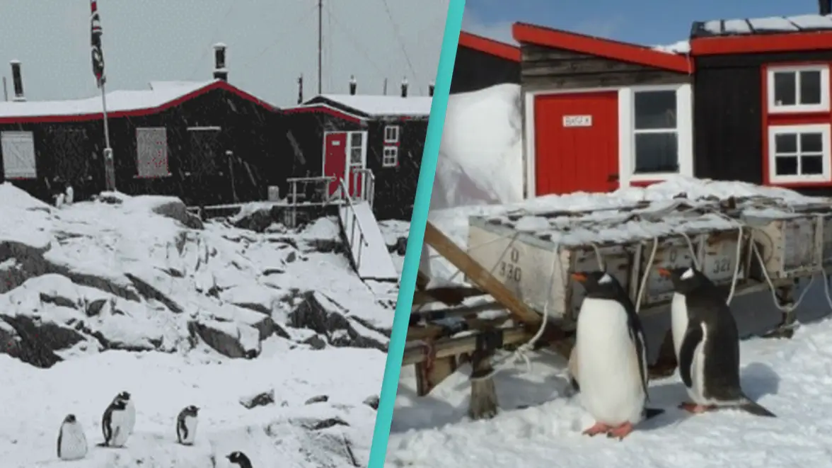 Facebook/UK Antarctic Heritage Trust/ Instagram / ukantarticheritagetrust