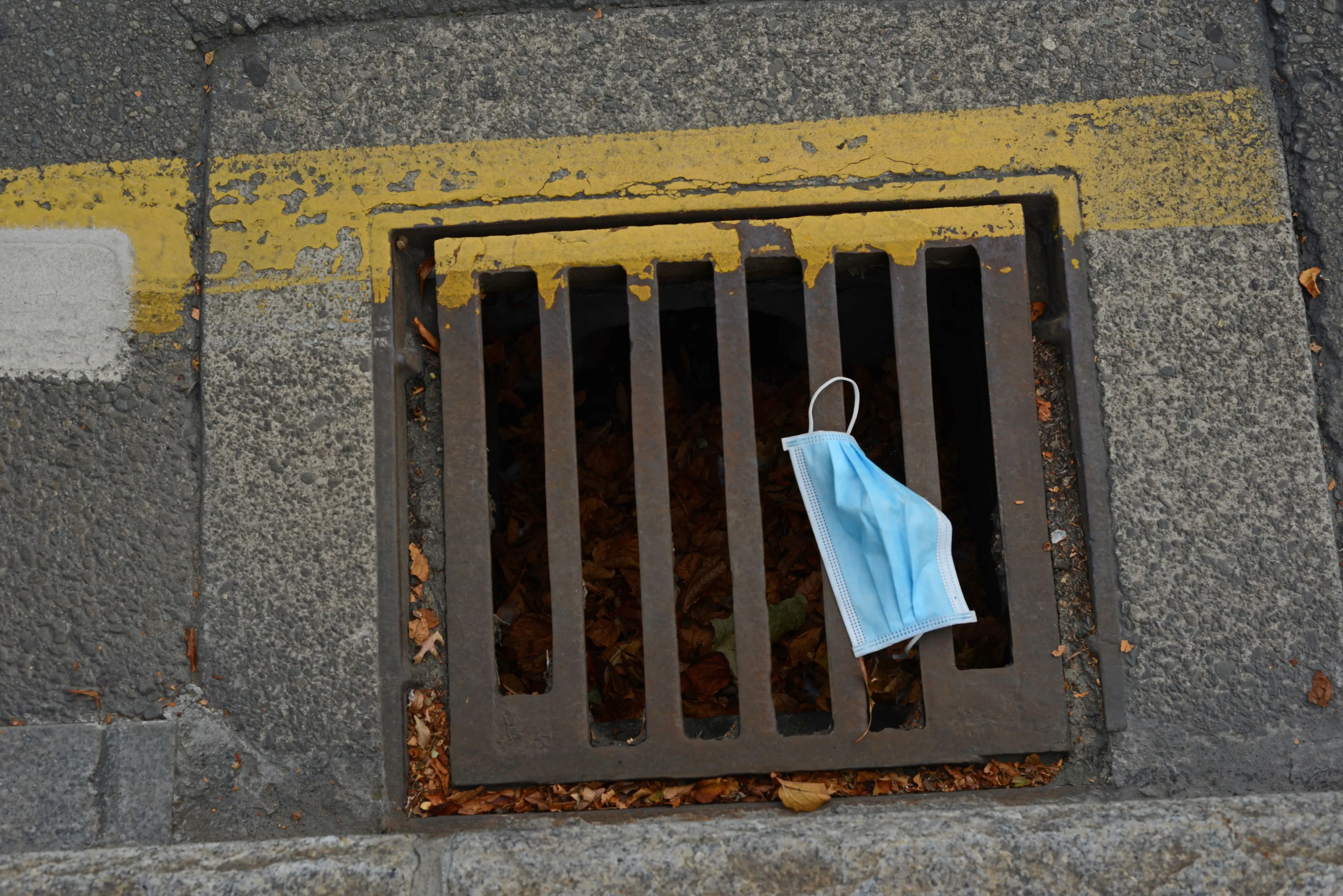 According to scientific evidence wearing a face mask does work.