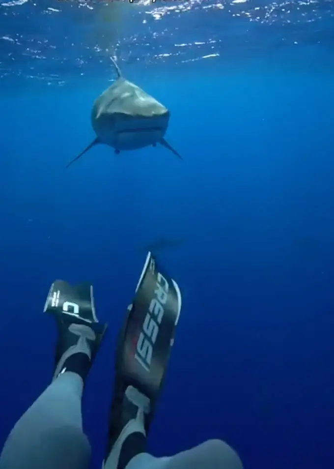 The diving expert filmed herself taking her own advice.