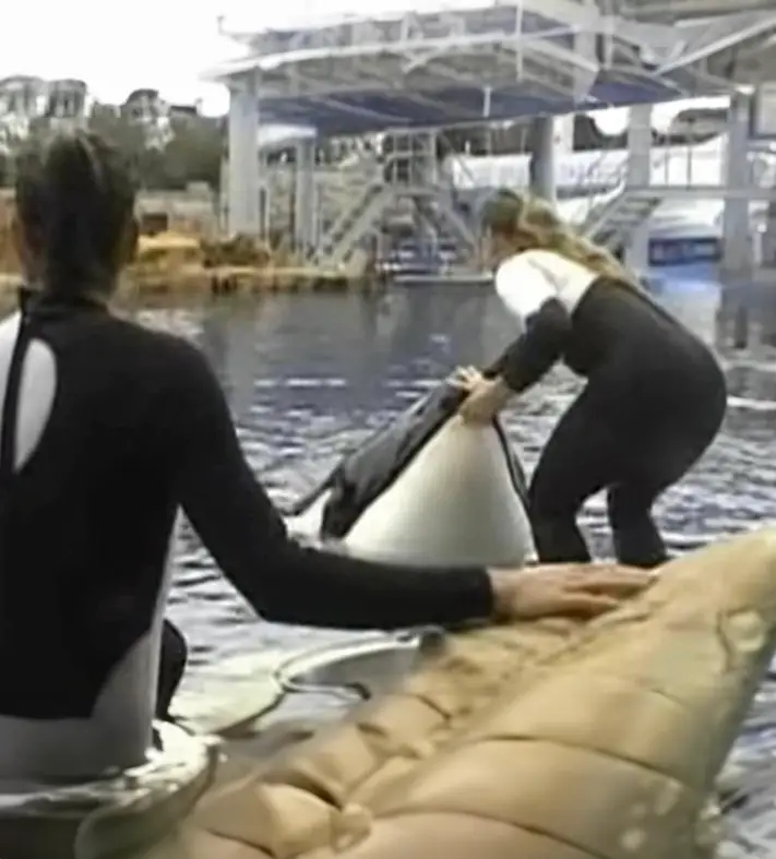 In 2010 an incident left guests at the park shocked after a show went wrong.