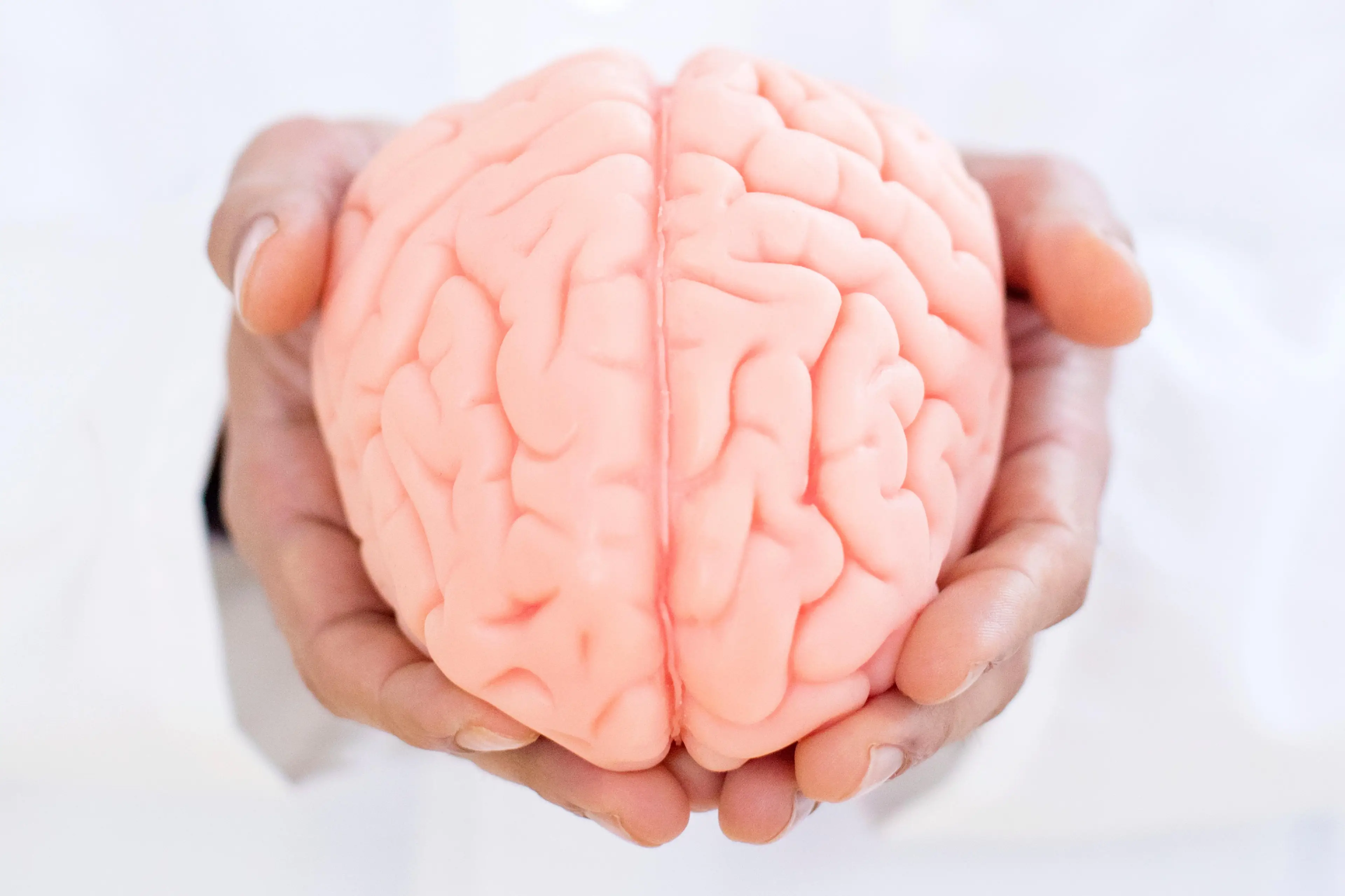 Canavero believes brain transplants are 'feasible'.