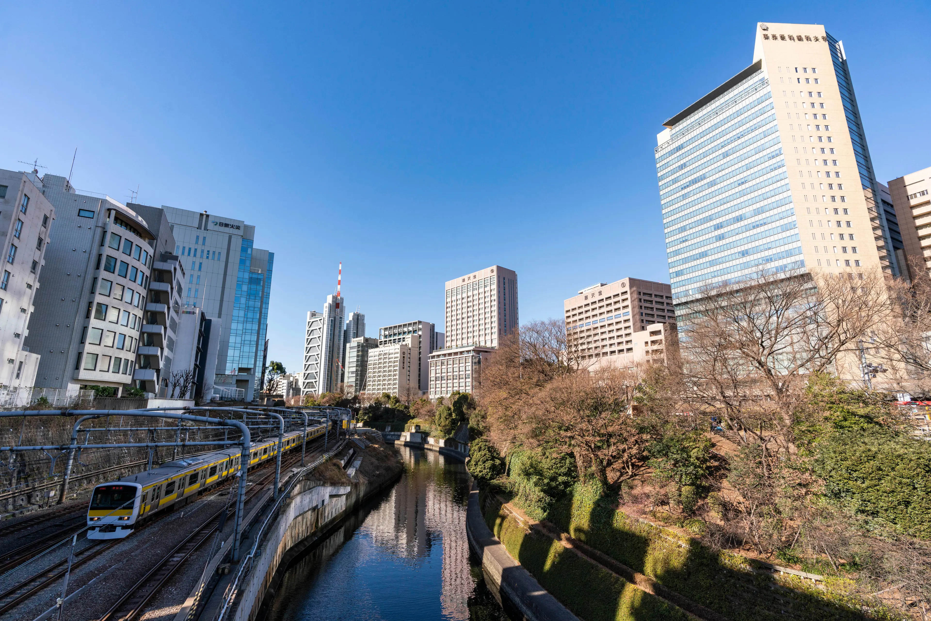 Juntendo University.