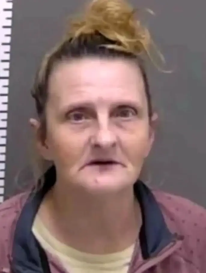 AI detected Lipp as the suspect police had been looking for (Fargo Police Department)