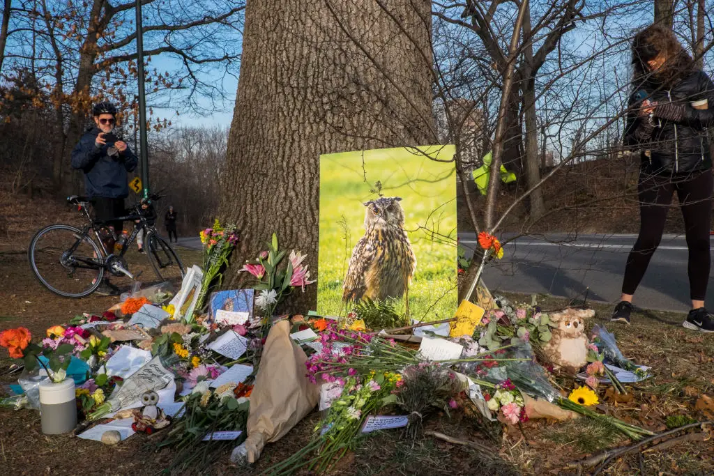 Flaco the owl died this February (