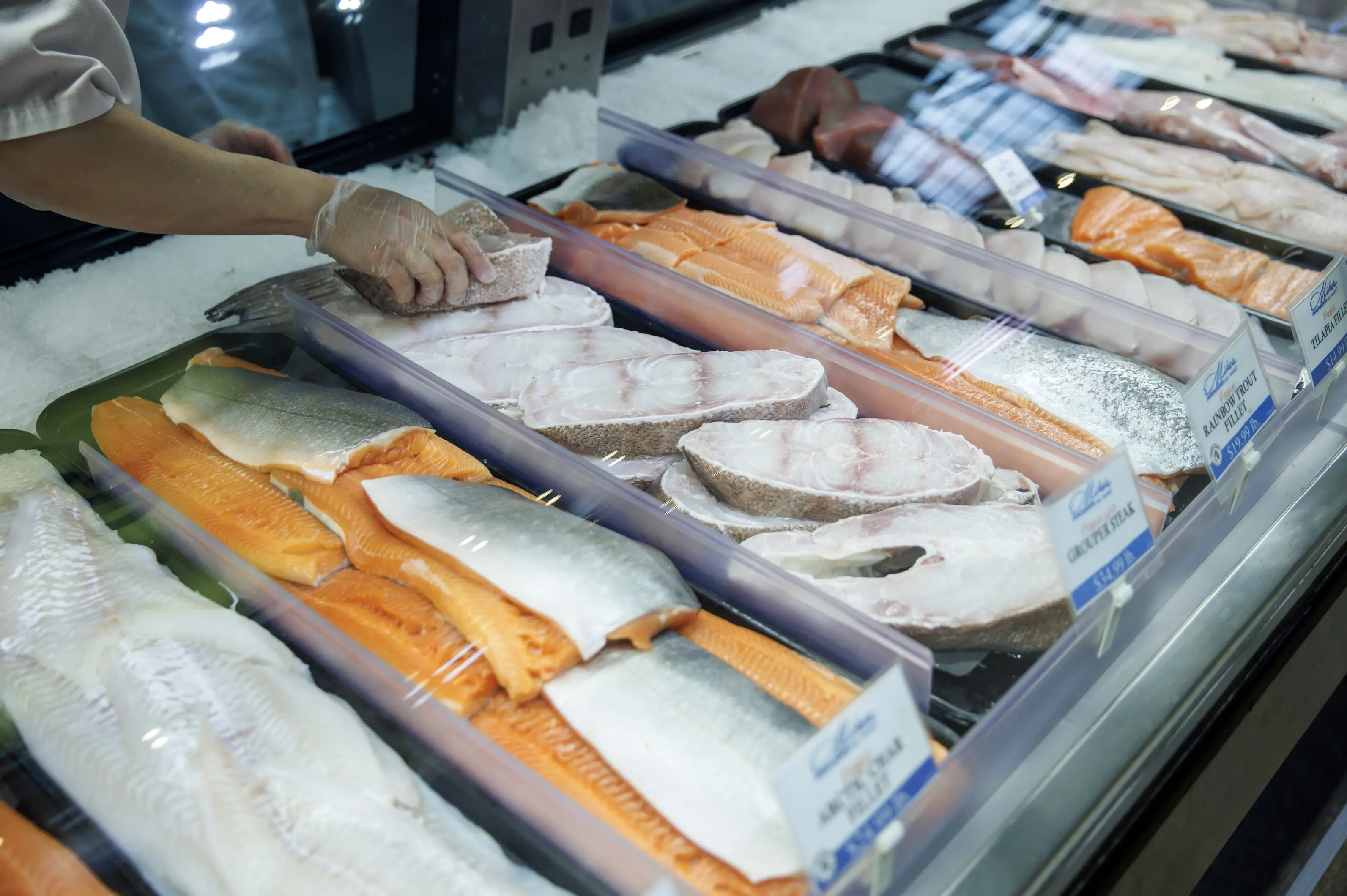 Fresh seafood like salmon, tuna, and lobster are facing a harsh 25 percent tax (Cole Burston/Bloomberg via Getty Images)