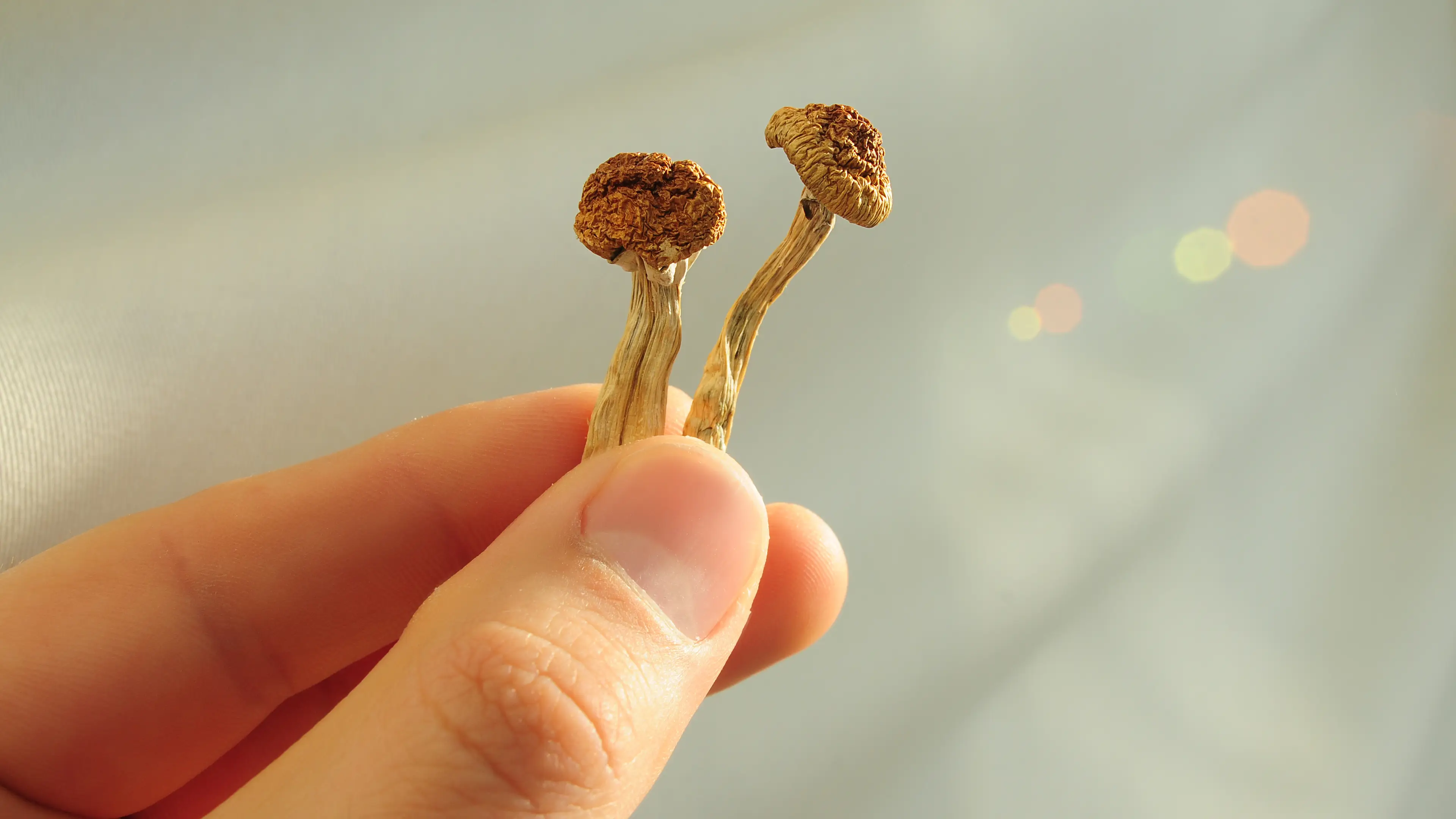 Cannabis-Pic/Getty Images