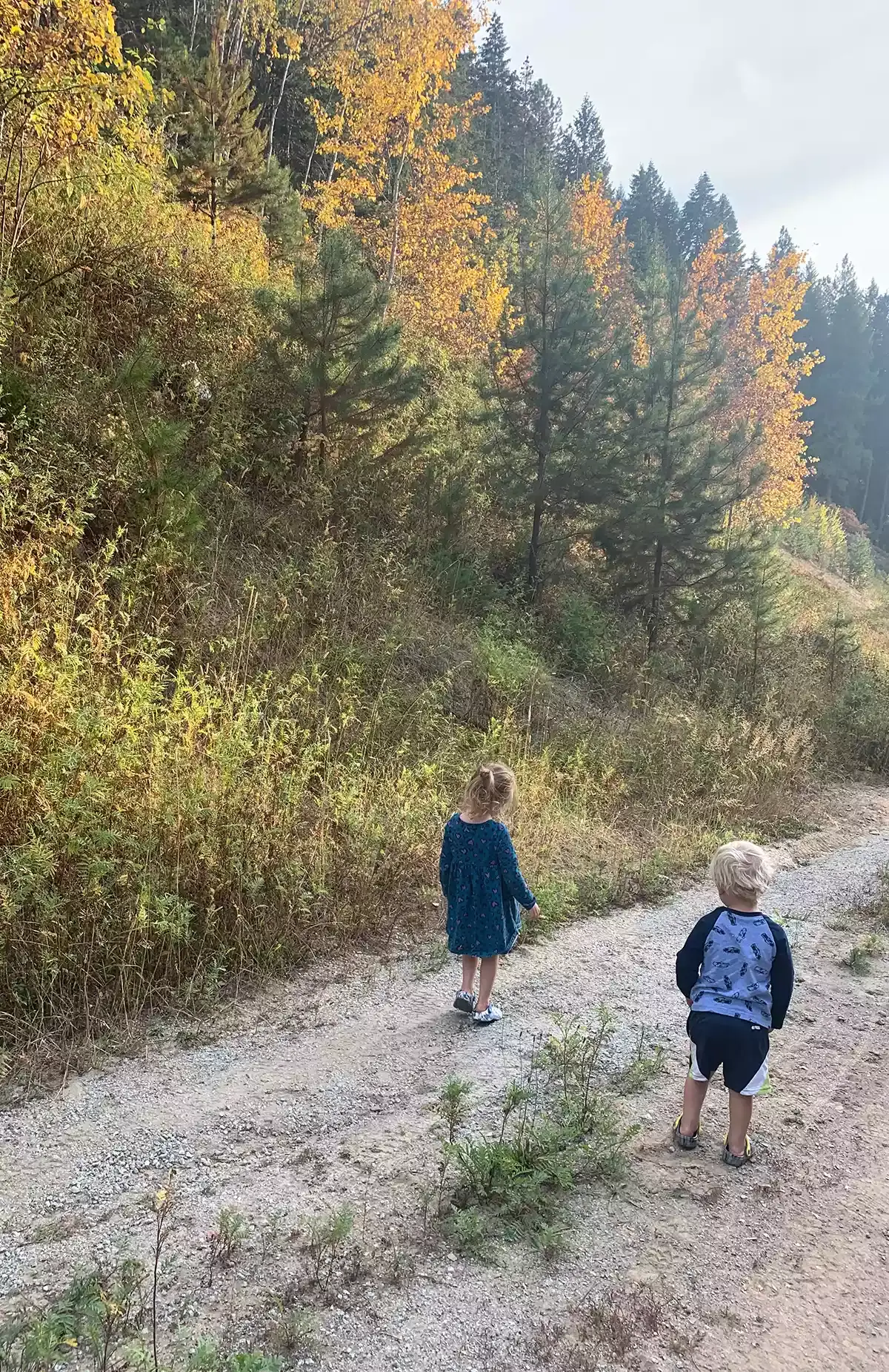 The driver sped down their private drive (Tiktok/@samjensen44)