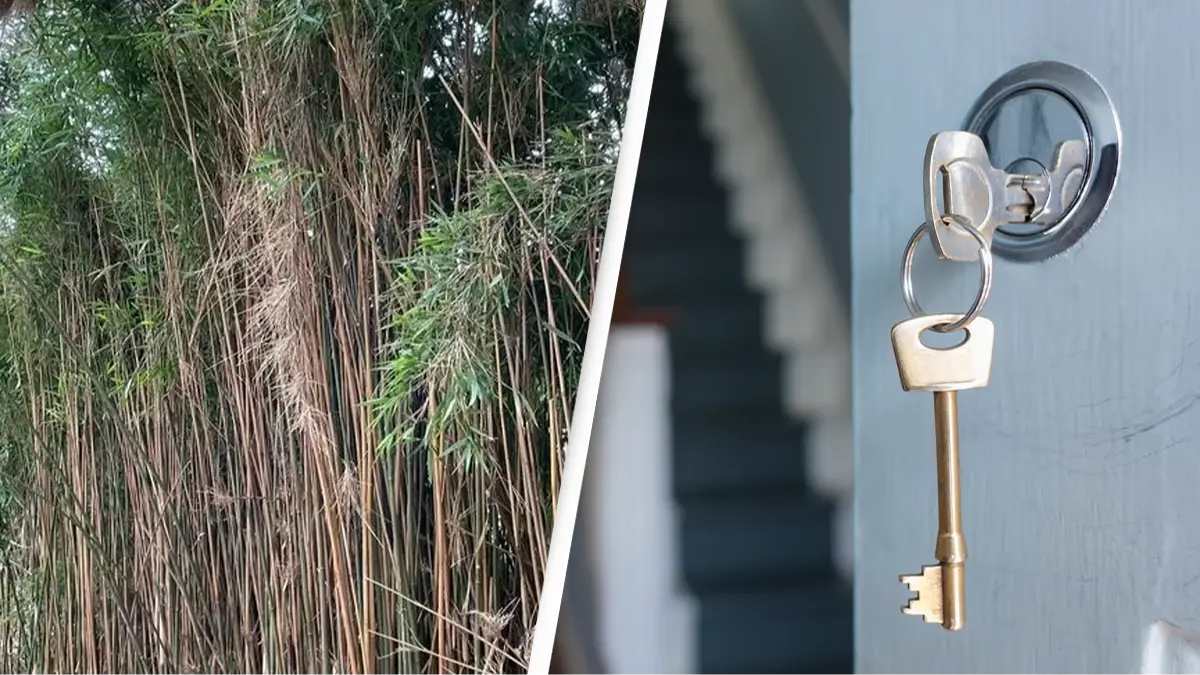 Environet / Getty Stock Image