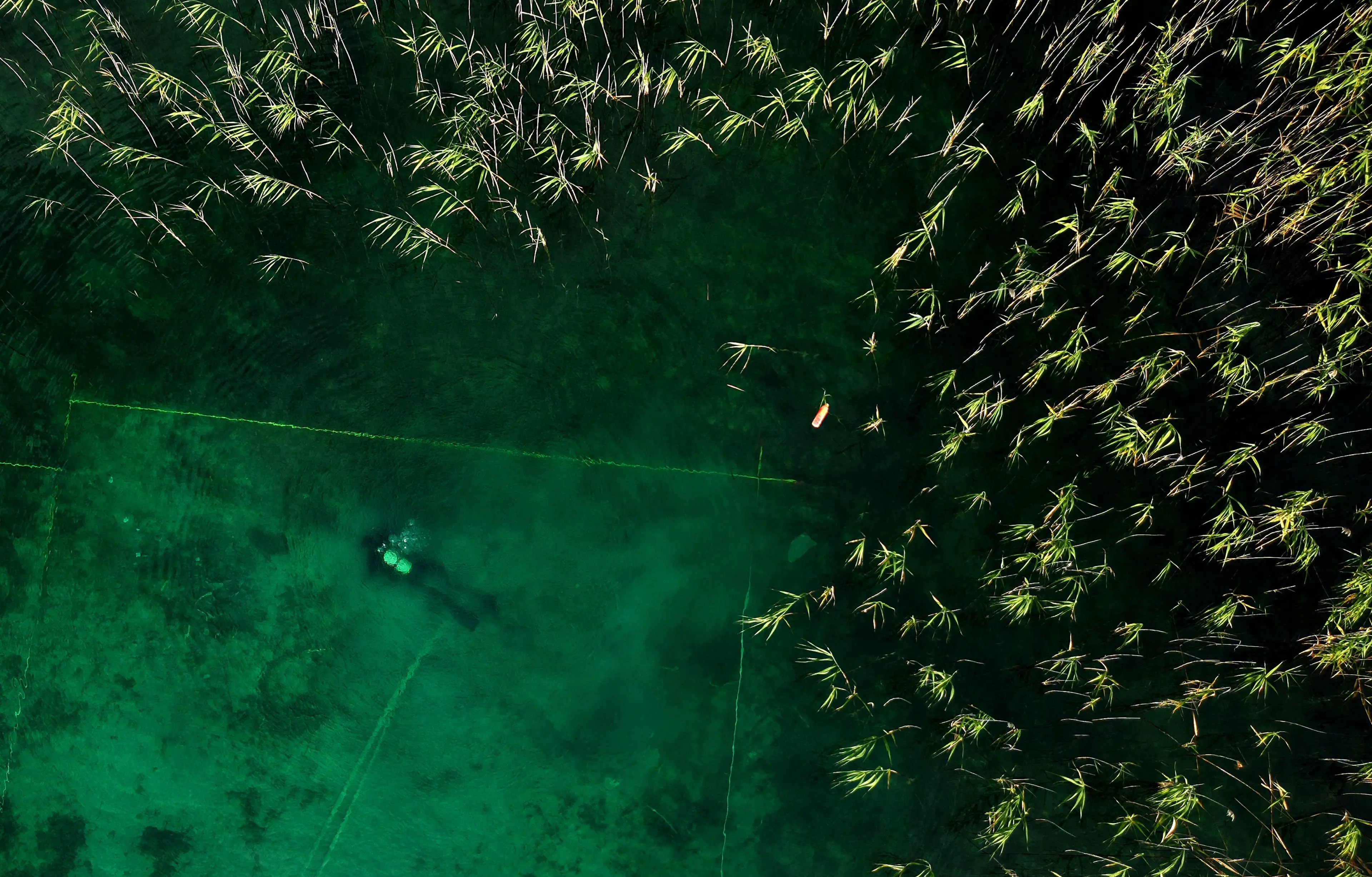 The community was found in Albania beneath Lake Ohrid.