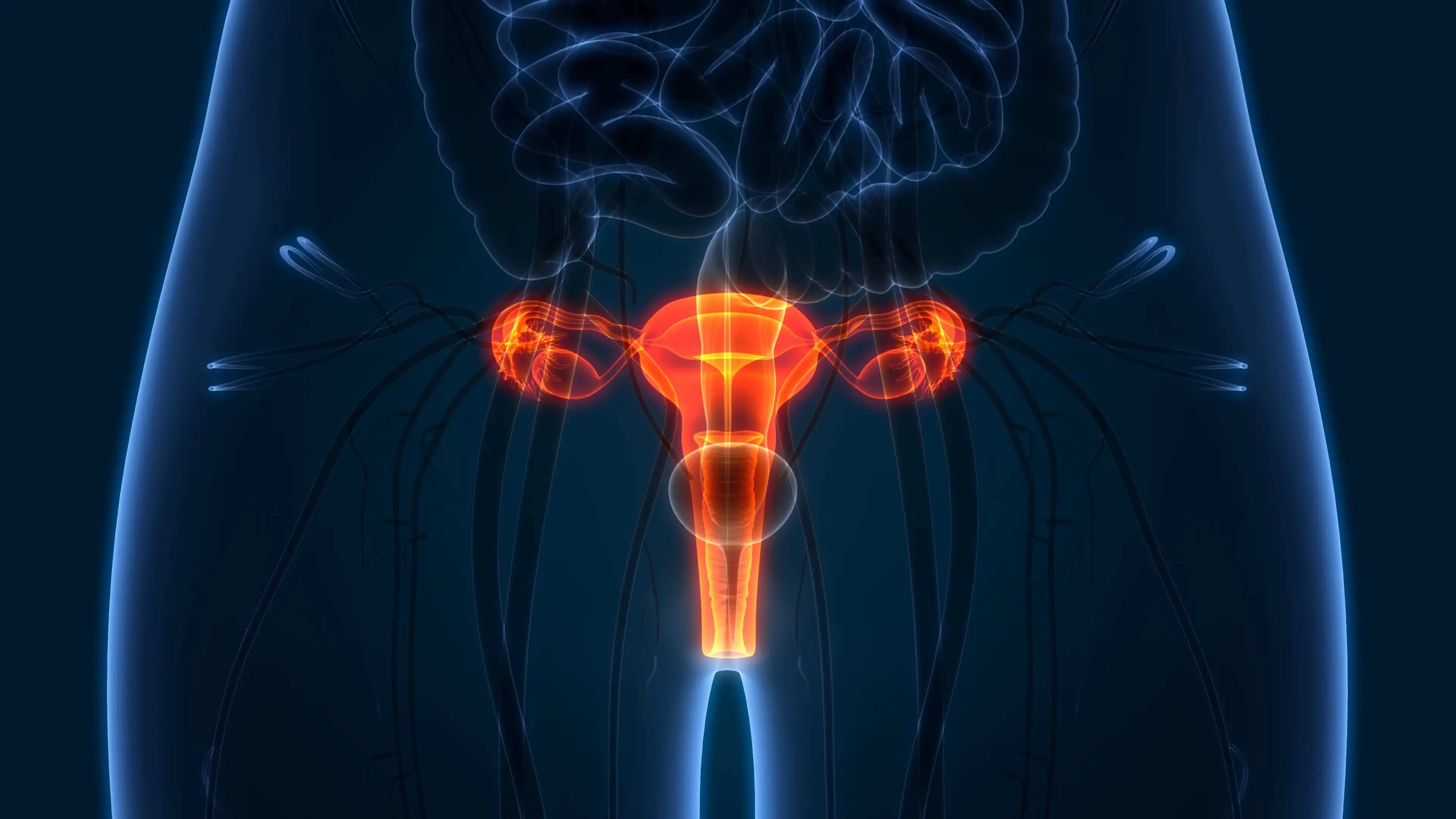 It's best to familiarize yourself with the correct anatomical terms (Getty Stock Images)