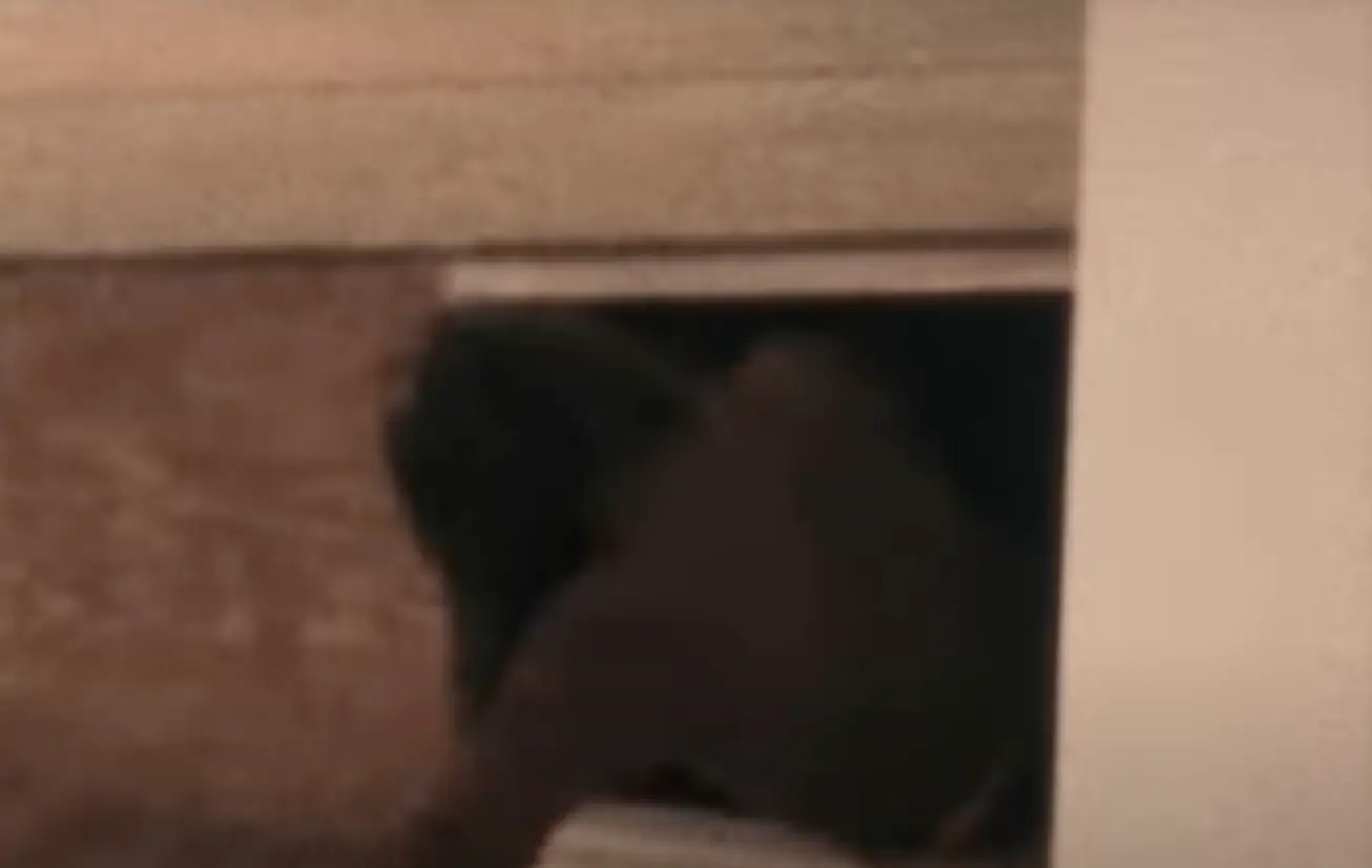 He hid beneath a ramp at the Sonnabend Gallery (YouTube/Tate)