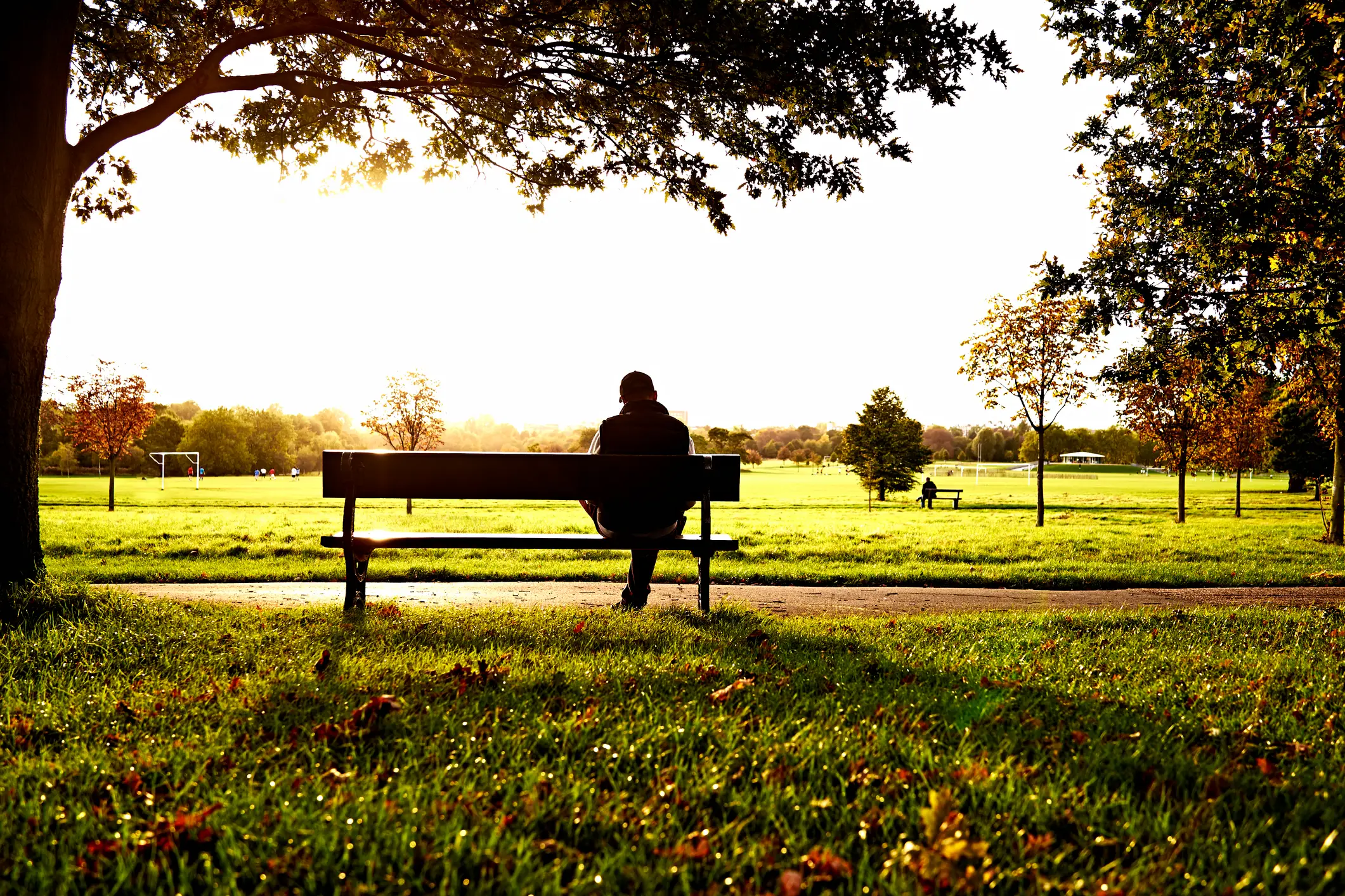 Experts say male loneliness is an epidemic in the US, particularly affecting younger men (Getty Stock Image)