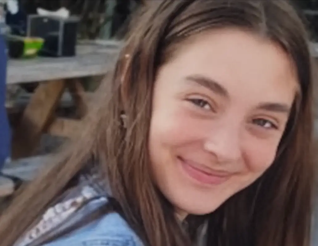 Shirilla was found to have crashed the car on purpose (Netflix)
