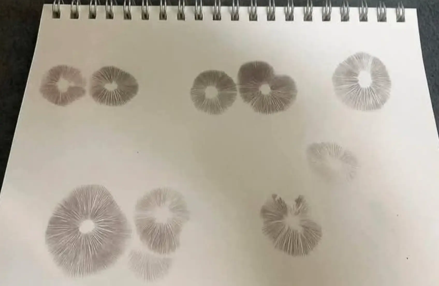 Marquez is believed to have left Exotic a notebook which appears to have something very NSFW inked onto it (Instagram/joe_exotic)