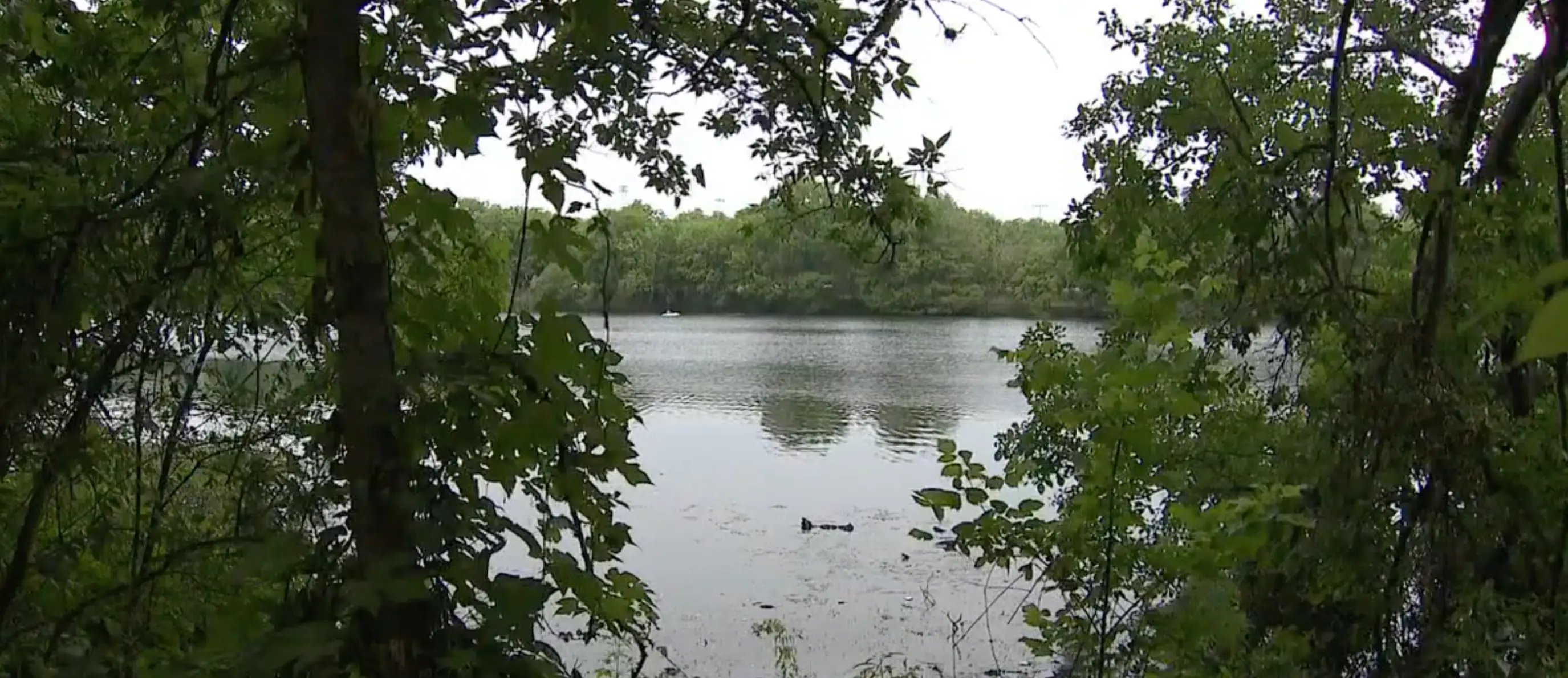 A body was reported to police on June 3 (Fox News)