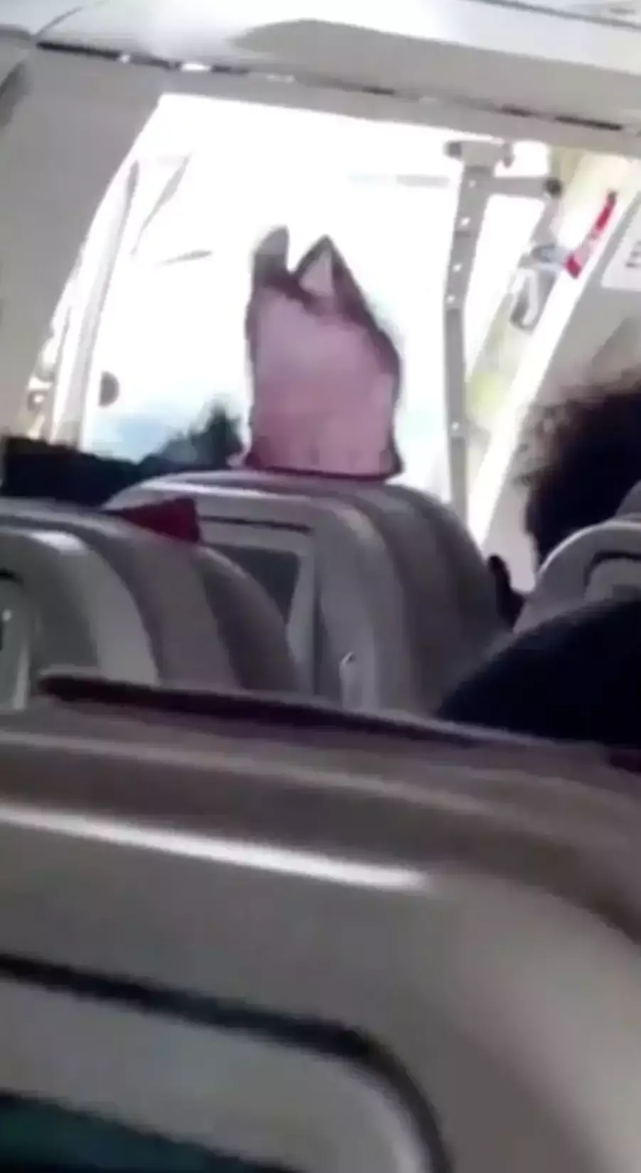 The door was flung open at around 700 feet during landing.