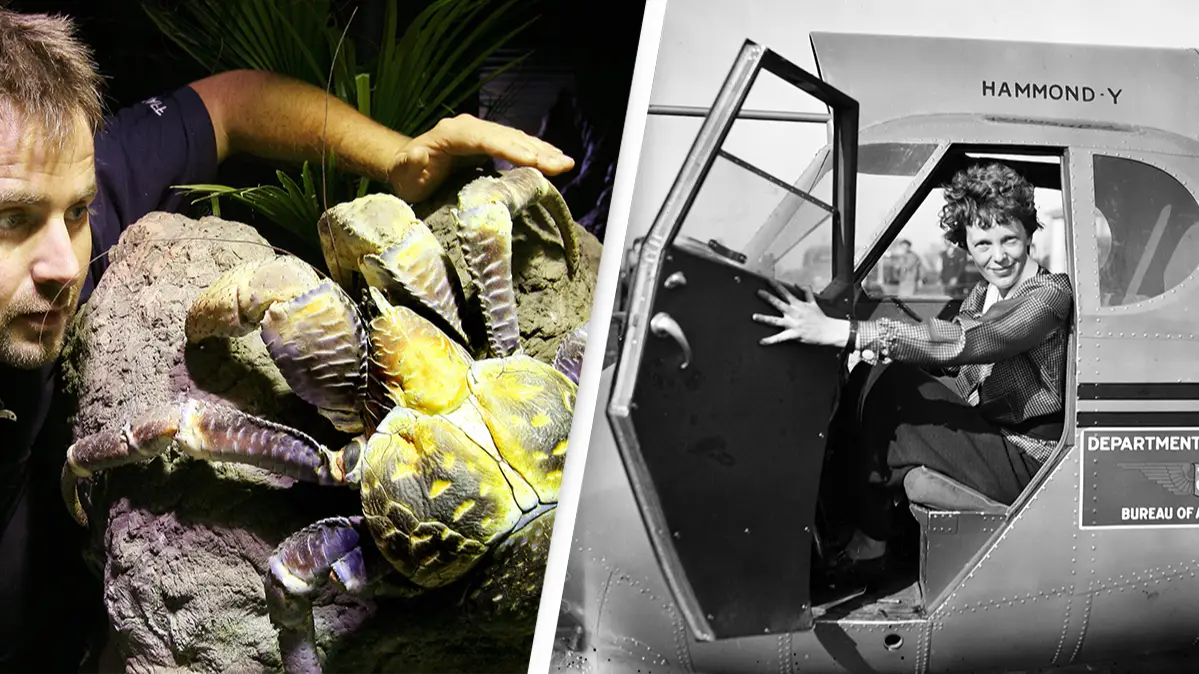 Getty Images/WILLIAM WEST/AFP/Donaldson Collection