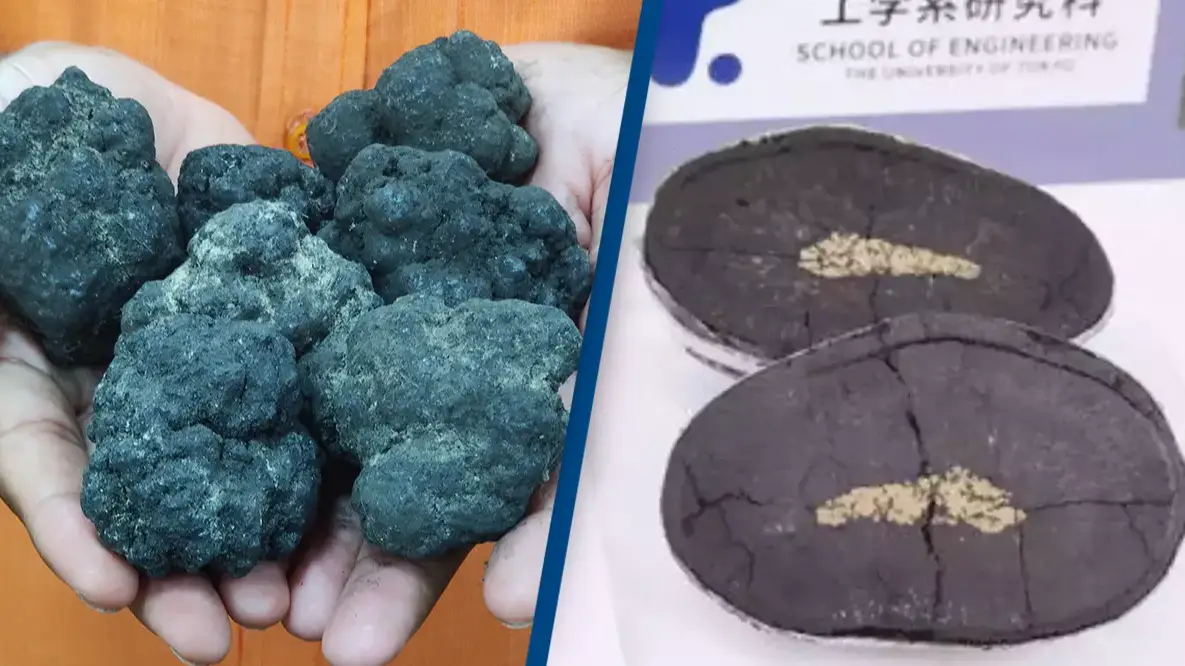 Pallava Bagla/Getty Images/The Nippon Foundation