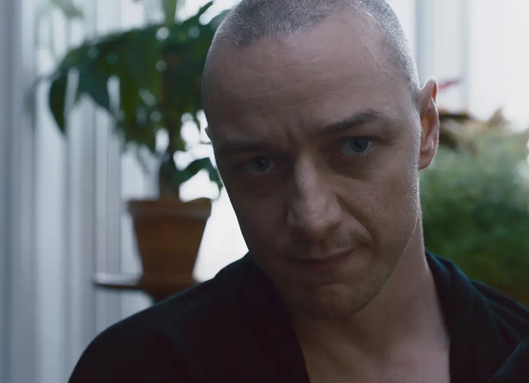 James McAvoy has played some iconic characters (Universal Pictures) 