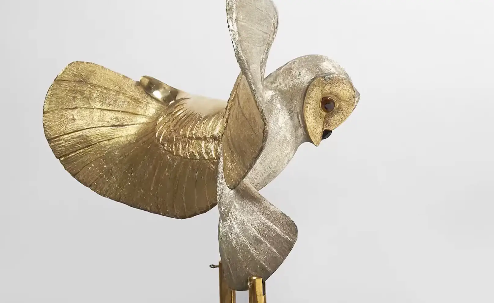 The owl was buried over 30 years ago (FRANCE 24 English)