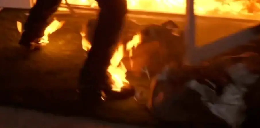 The participant was clearly on fire (MrBeast via YouTube)