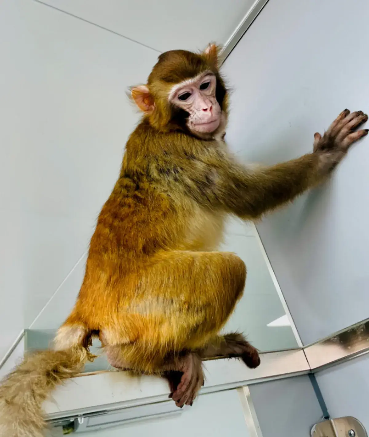 ReTro is over two years old.