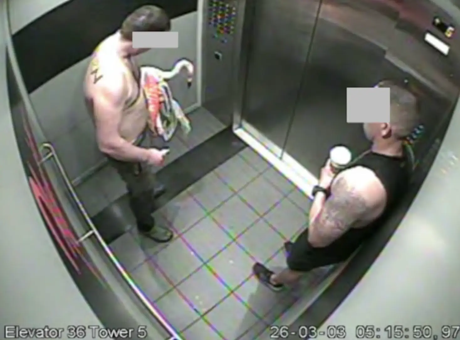 The flamingo is now being treated for its injuries (LVMPD)