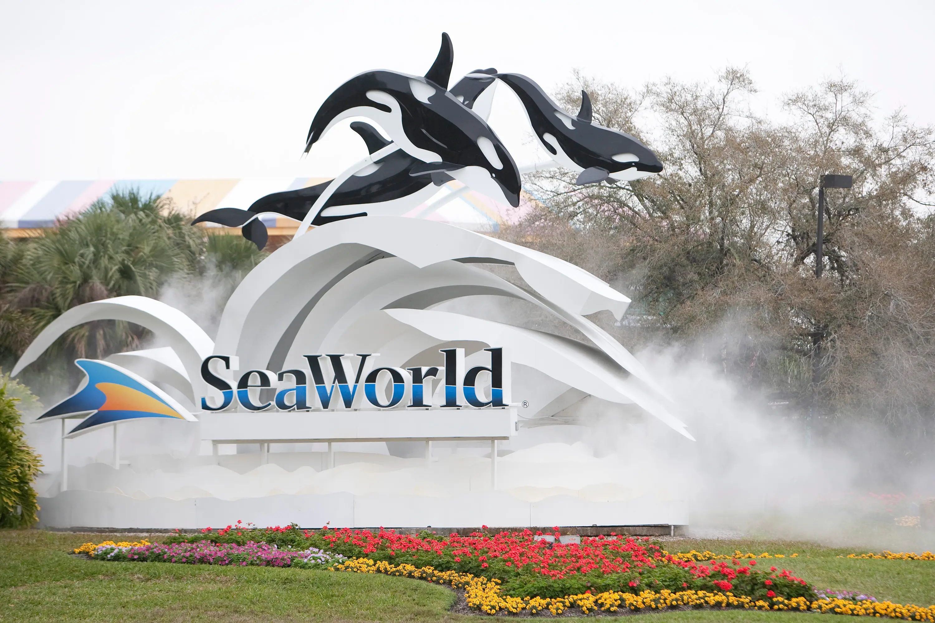 There have been a handful of incidents at SeaWorld parks over the years (Matt Stroshane/Getty Images)