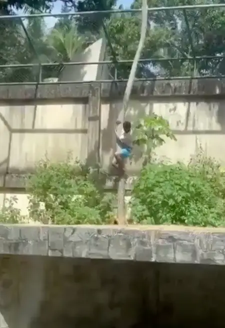 The harrowing footage went viral online (X)