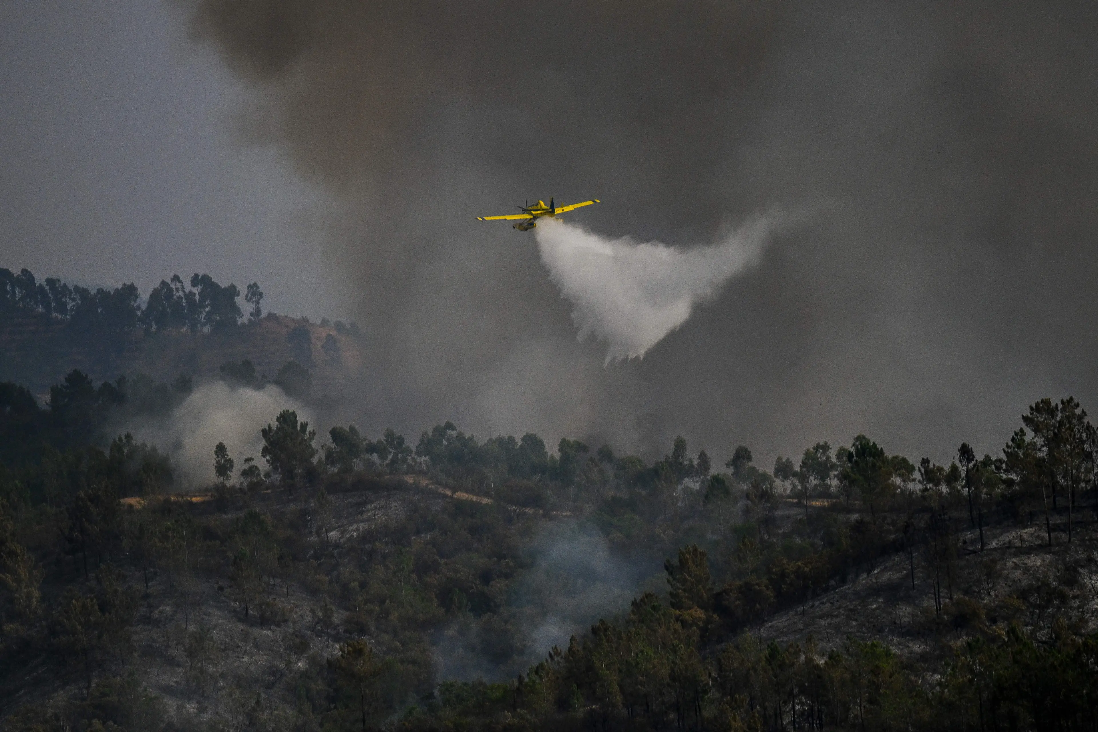 The water was dropped from the plane to tackle a bushfire.