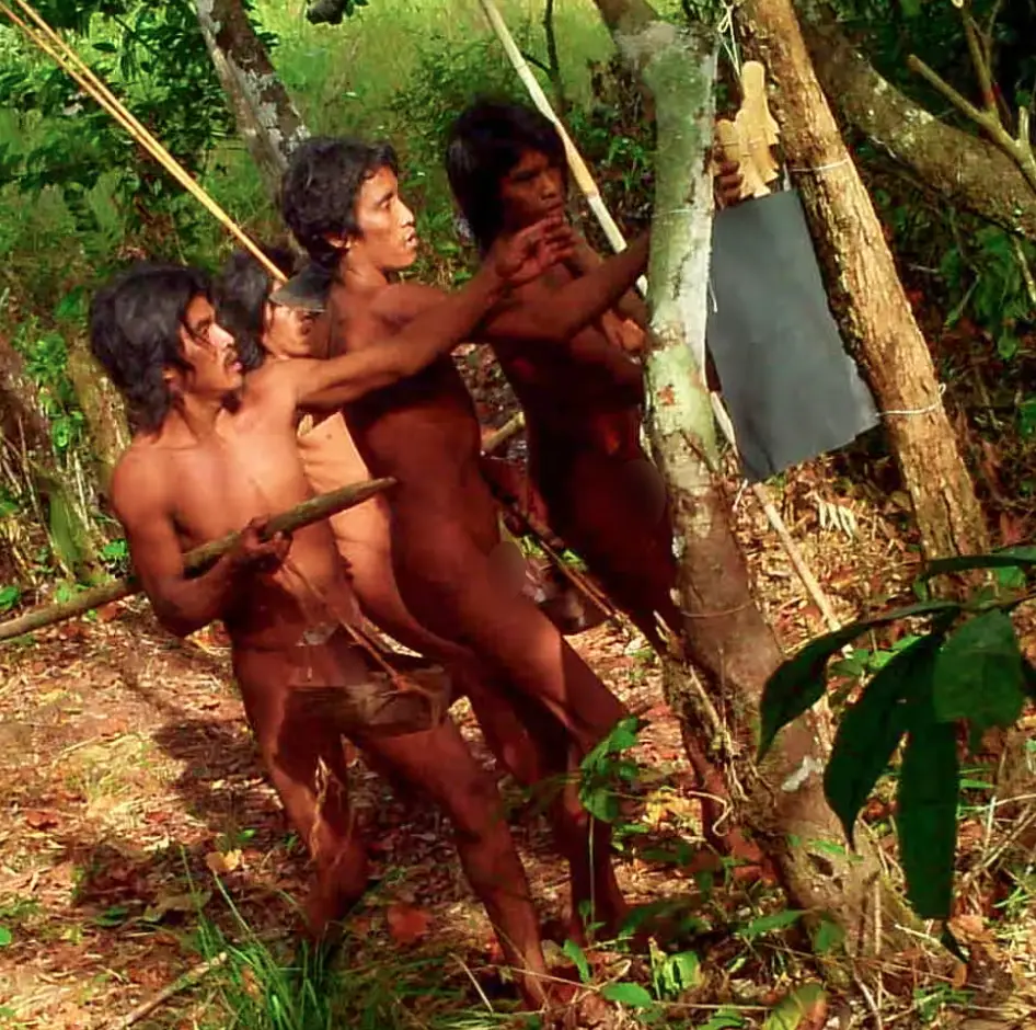 The Massaco community hunt with long bows (Funai)