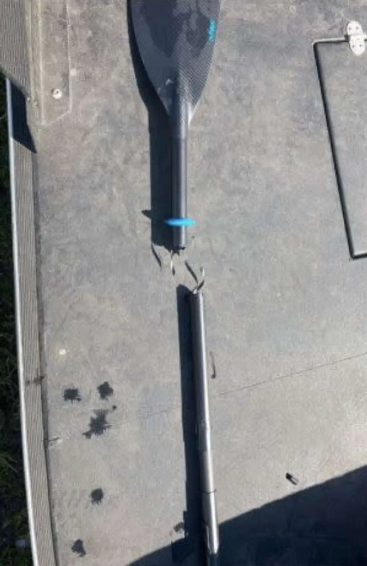 The alligator caused a lot of damage (FWC)