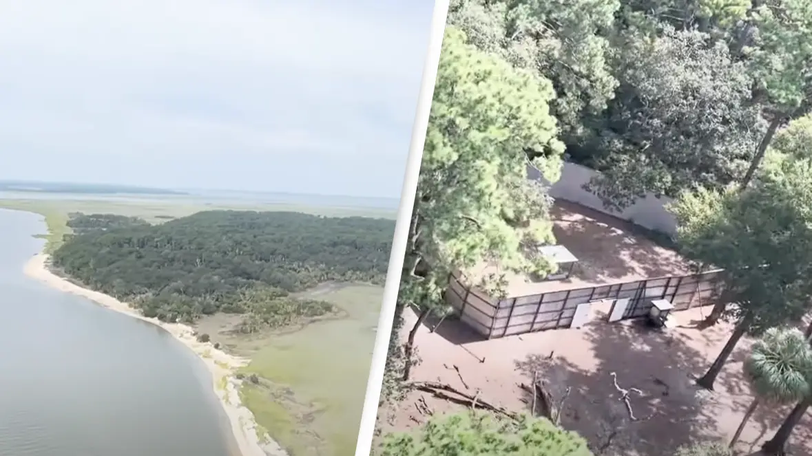 YouTube/Lowcountry Lifestyles