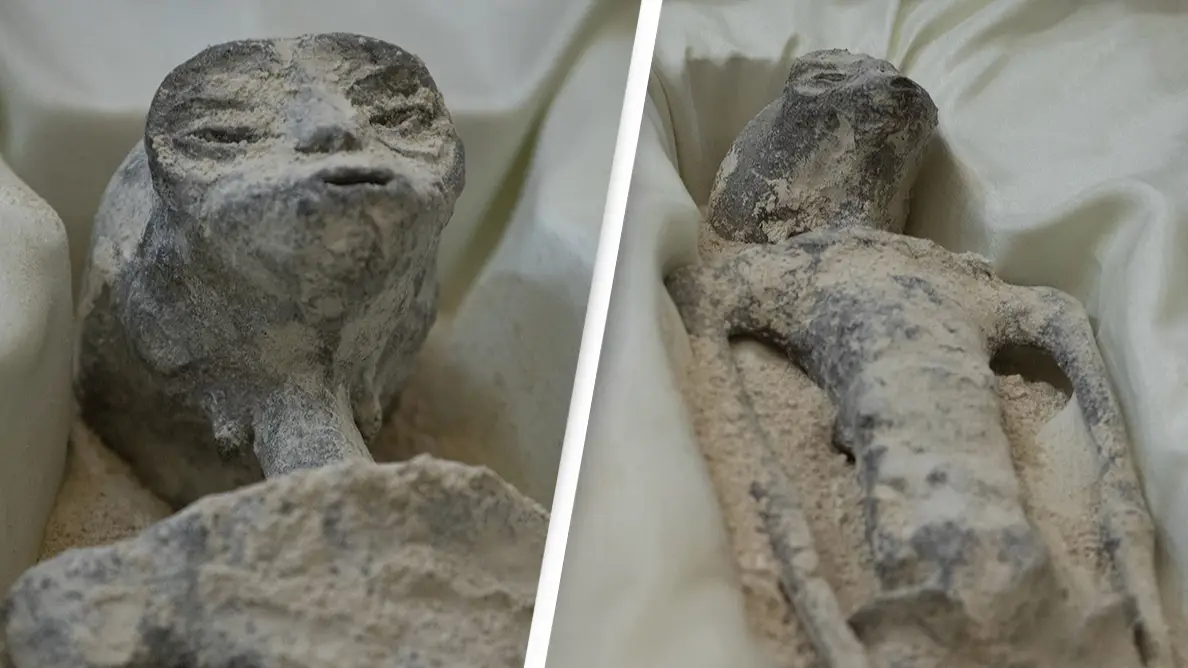 Daniel Cardenas/Anadolu Agency via Getty Images