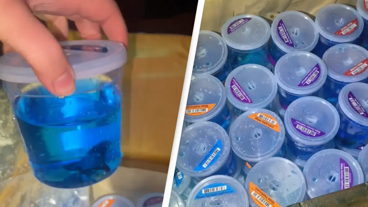 TikTok/ @ugckatehahn32