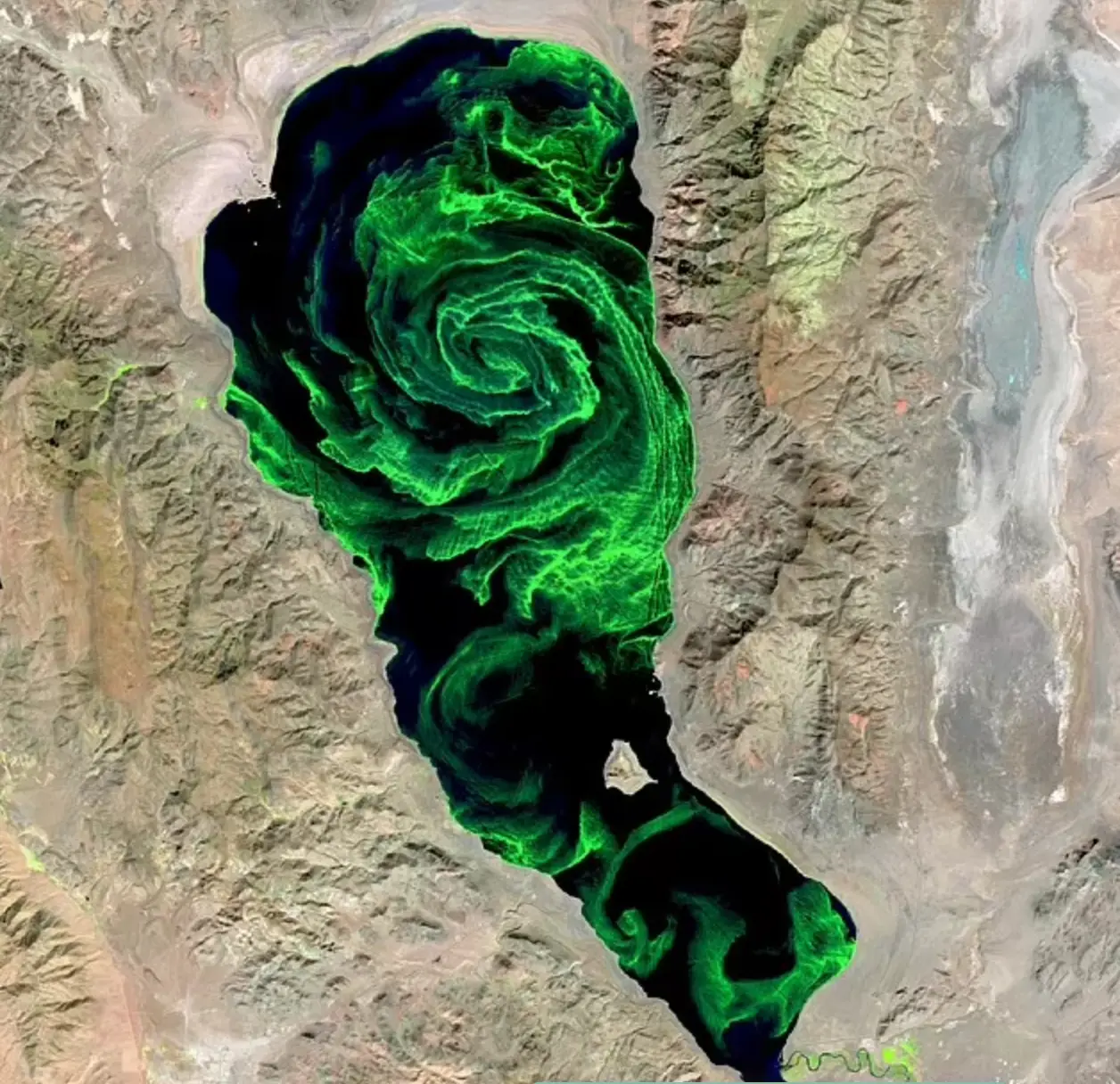 The intense green color can be seen from space (United States Geological Survey)