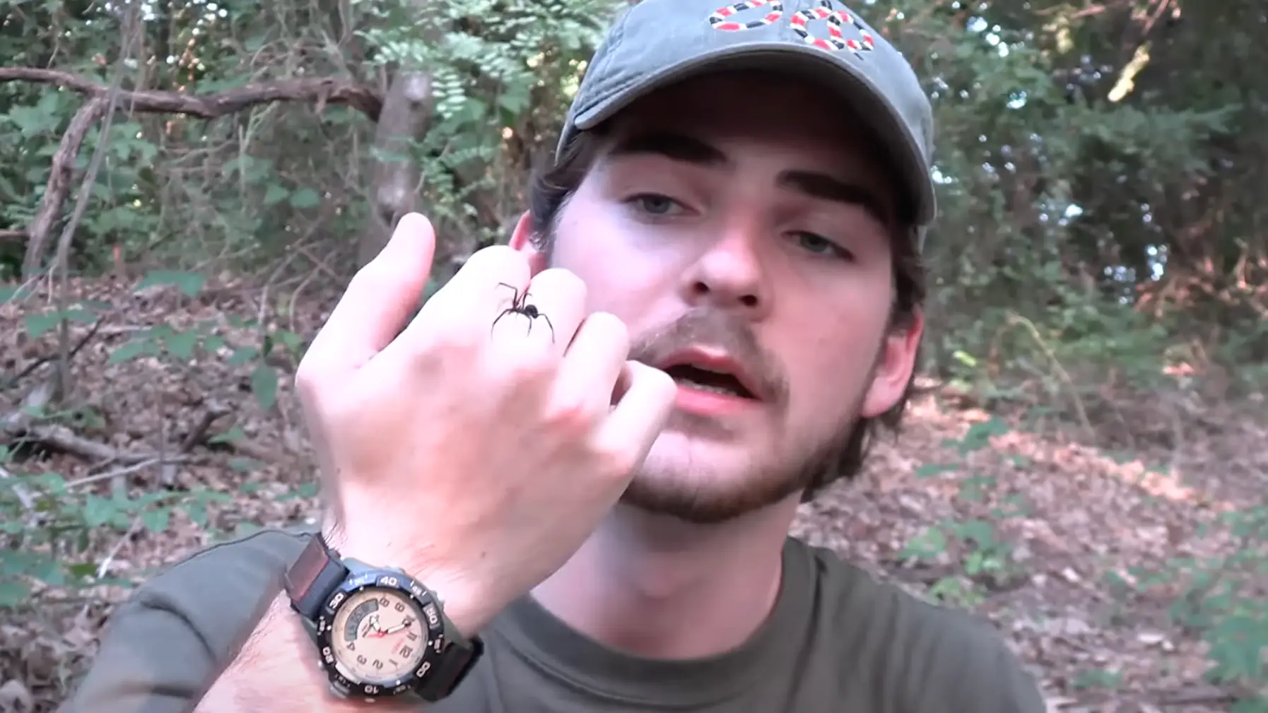 YouTube/Jack’s World of Wildlife