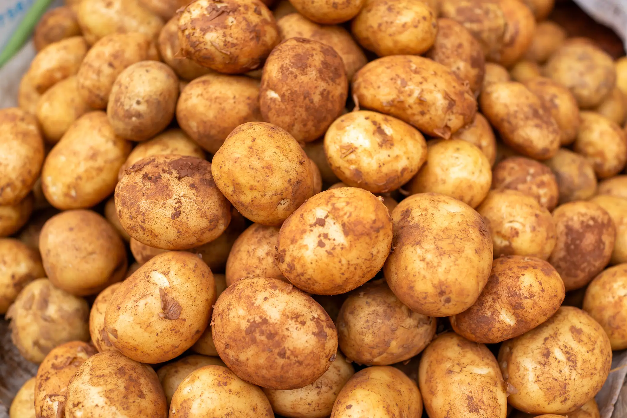 The star realised he didn't like potatoes as much as he first thought. (Getty Stock Images)