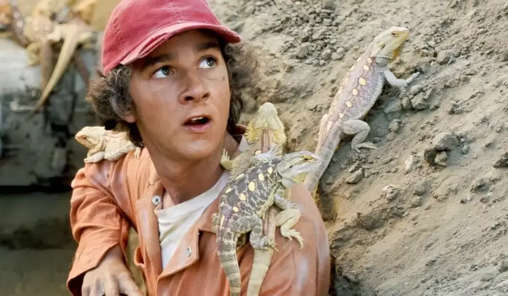 The actor starred as Stanley Yelnats in Holes (Disney)