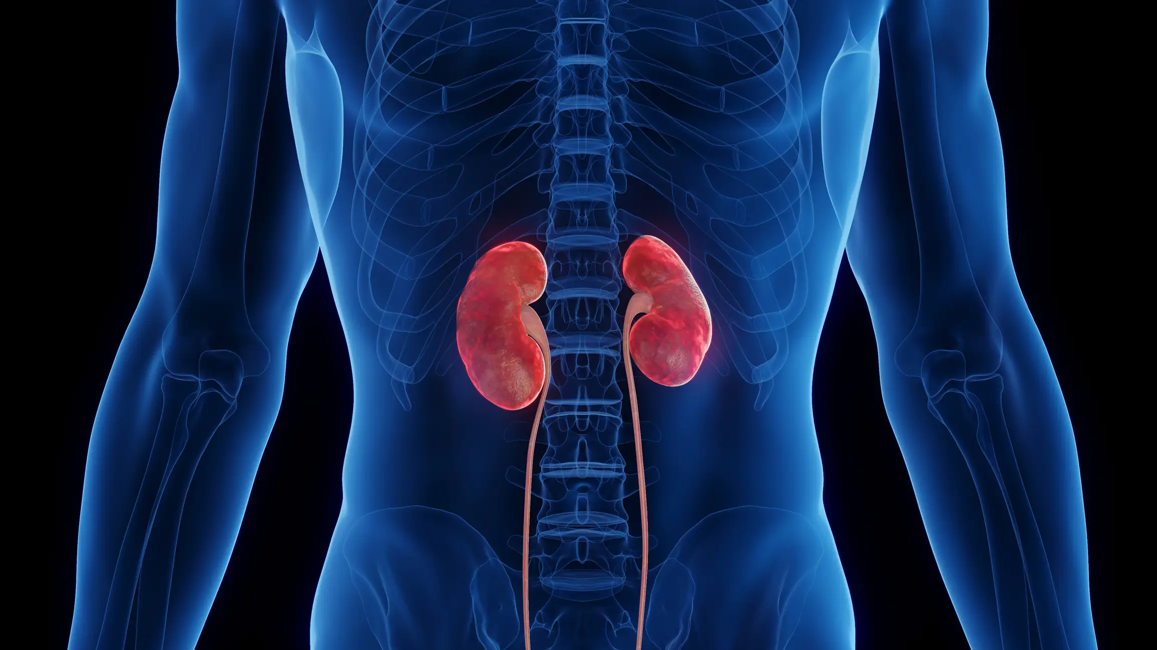 Chronic Kidney Disease is currently diagnosed via blood and urine tests (Sebastian Kaulitzki/Science Photo Library/Getty Images)