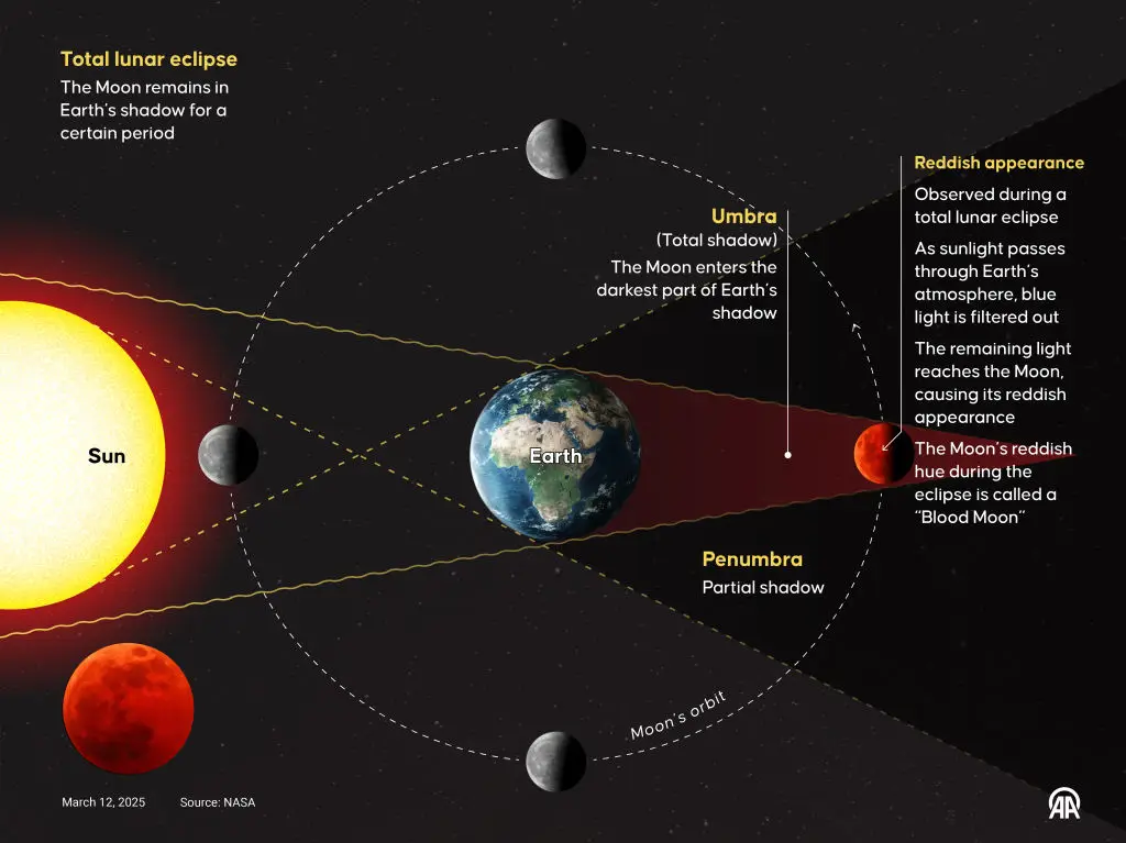 An infographic details the phenomenon that is a 'blood moon' (Murat Usubali/Anadolu via Getty Images)