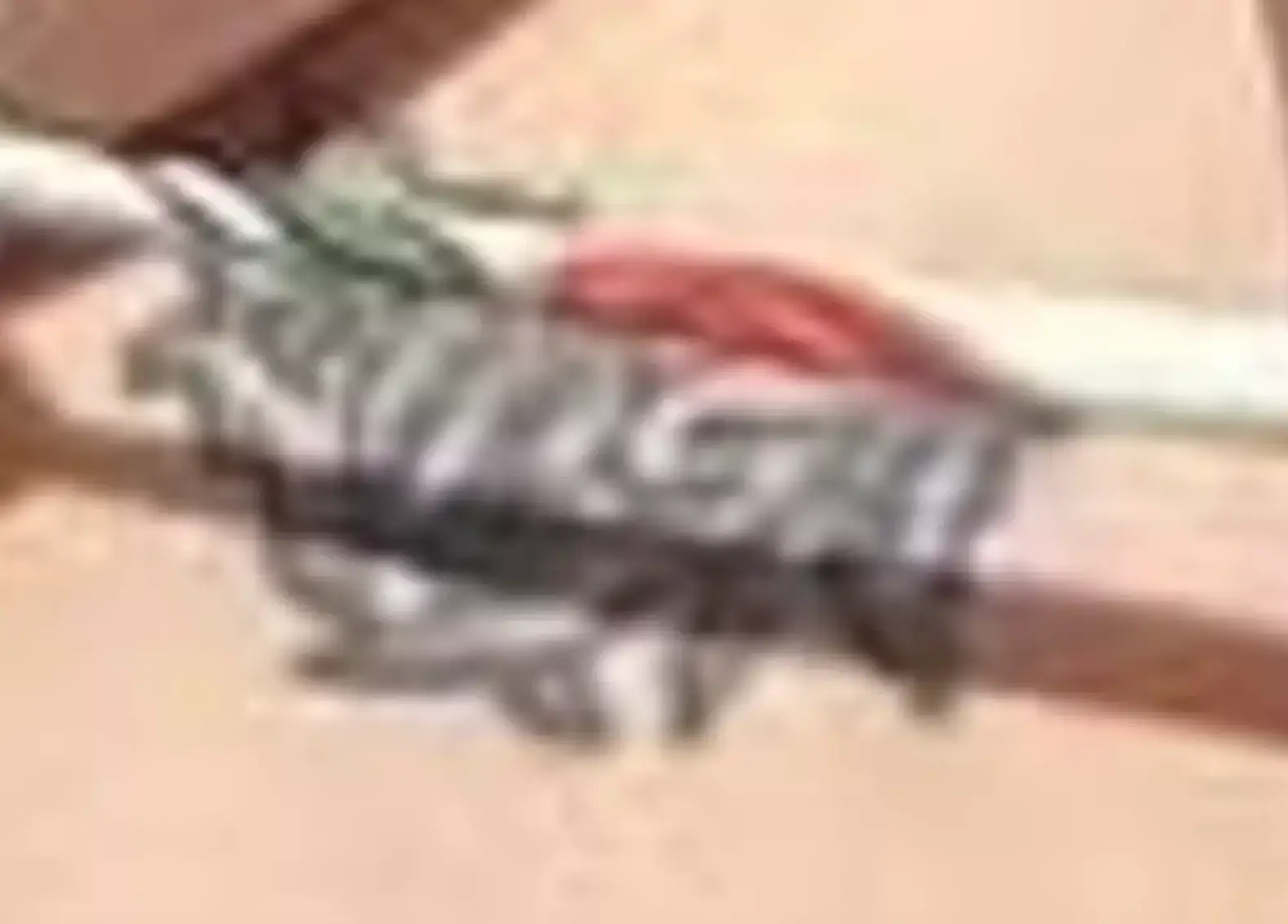 The glimpse fans got of the tattoo.