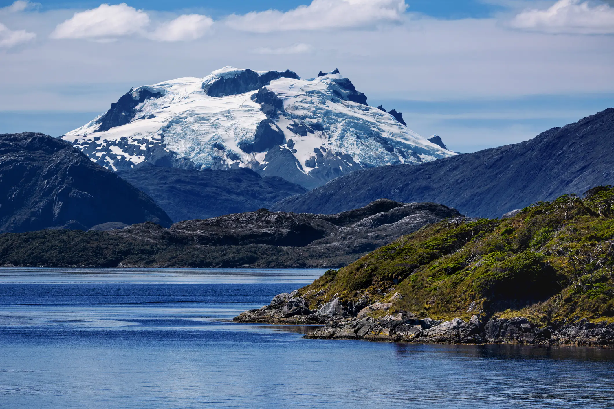This vegetation could mean bad things (Getty Images)