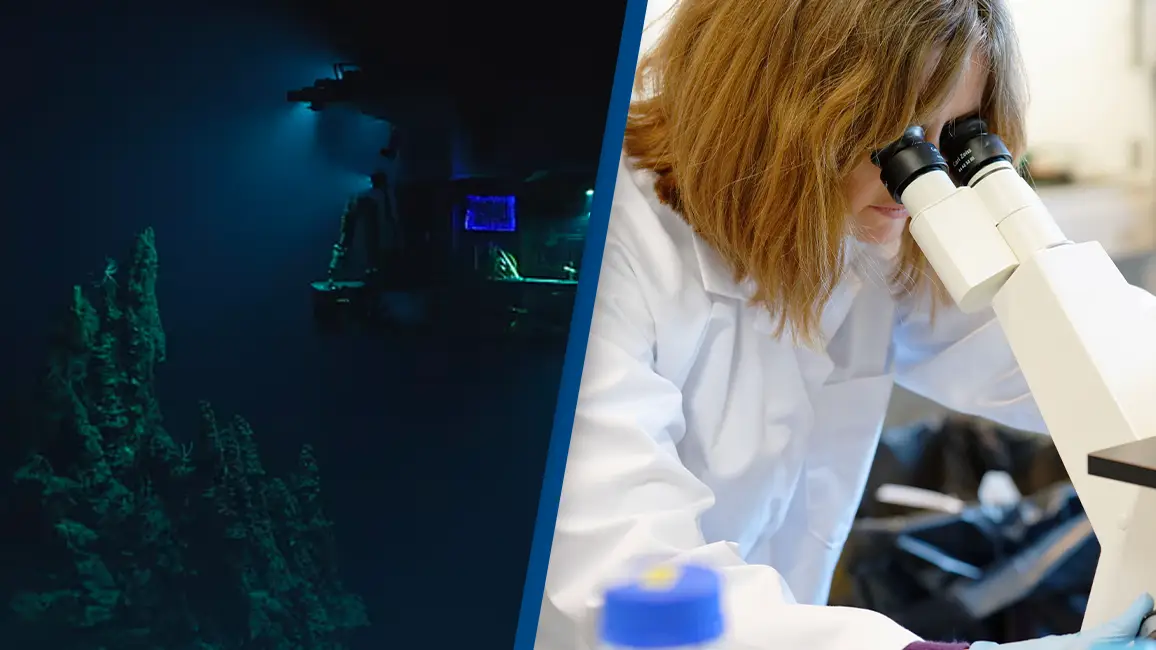 Scientists have discovered a completely new type of virus from the Mariana Trench